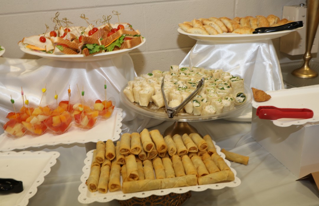 Appetizers and spring rolls